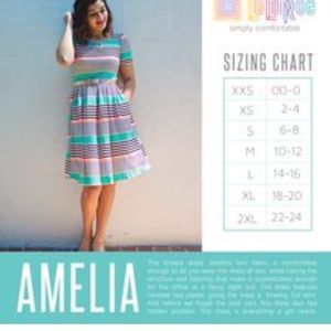 NWOT - LulaRoe Amelia dress size 2x